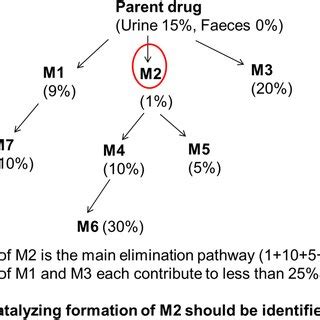Image result for Mass Balance Example BRC
