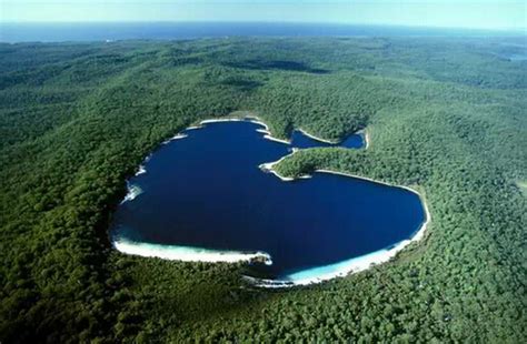 心形湖泊：巴西，亚马逊丛林 |我爱你|心形岛|澳大利亚_新浪时尚_新浪网
