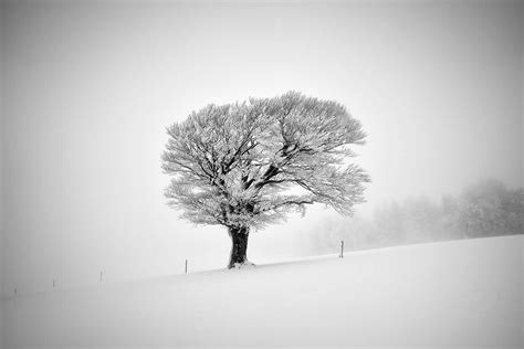 Image result for Python Video and Audio Sync Issues