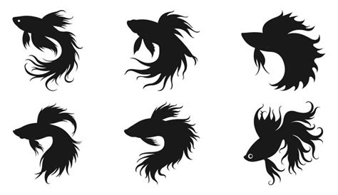 Betta siamese fighting fish silhouette vector art and black betta fish ...