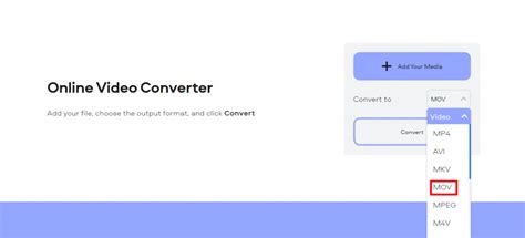 Video File Conversion Tutorial 的图像结果