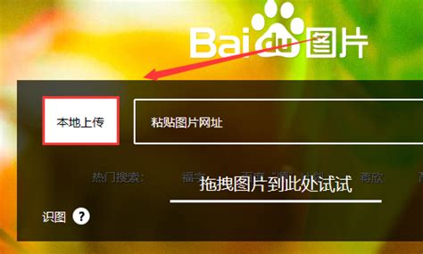 百度搜图 的图像结果