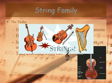 Image result for String Instruments Violin
