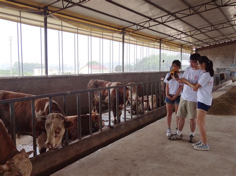 重磅！山西锦绣大象农牧拟香港H股IPO上市。中国排名第9的生猪和白羽肉鸡产品生产商_文水