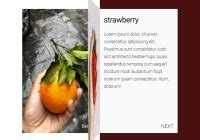 Image result for Flip Book CSS JavaScript Free