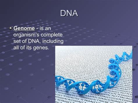 Image result for DNA Function