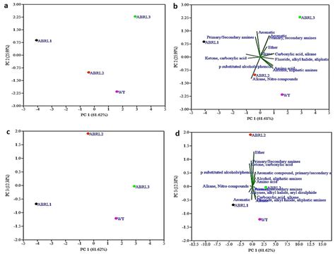 Antibacterial, Antihemolytic, Cytotoxic, Anticancer, and ...