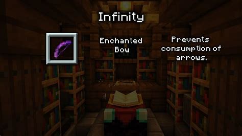 Image result for Entity Infinity Minecraft
