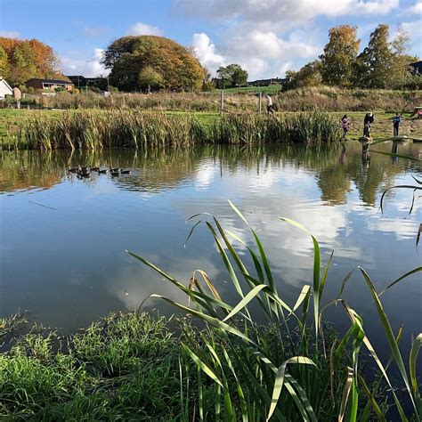 KIRKEBJERGSØERNE (2026) All You Need to Know BEFORE You Go (with Photos ...