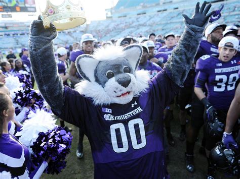 Download Northwestern University Mascot At Game Wallpaper | Wallpapers.com