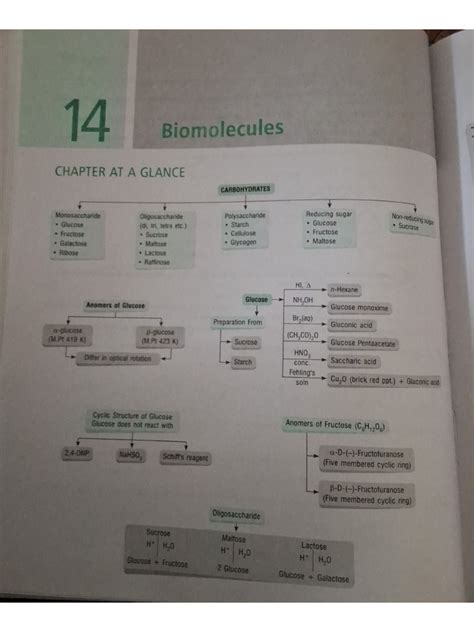 Biochemistry MindMap 的图像结果