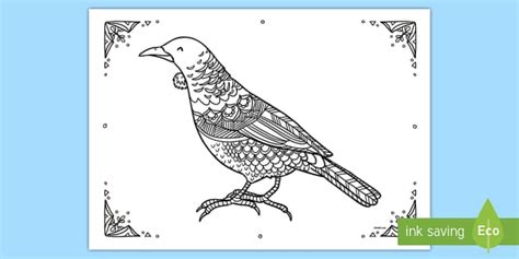 Tui Mindfulness Colouring Page - New Zealand Mindfulness