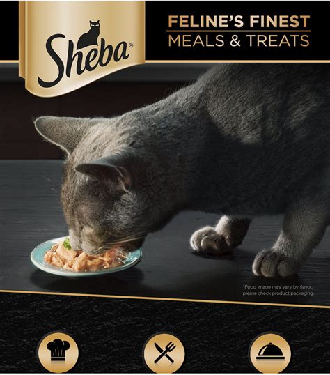 SHEBA Wet Cat Food (12-Pack), 70g. | Shopee Philippines
