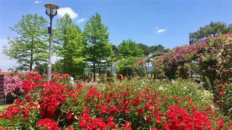 𝗧𝗛𝗘 𝟭𝟬 𝗕𝗘𝗦𝗧 Hotels in Gokseong-gun of 2026 (from ₹ 2,910)