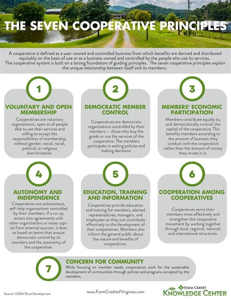 Co-operative Principles and Values 的图像结果