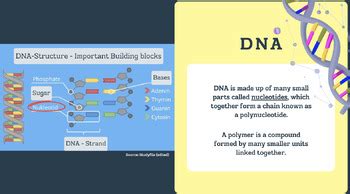 Image result for Basic Science Examples