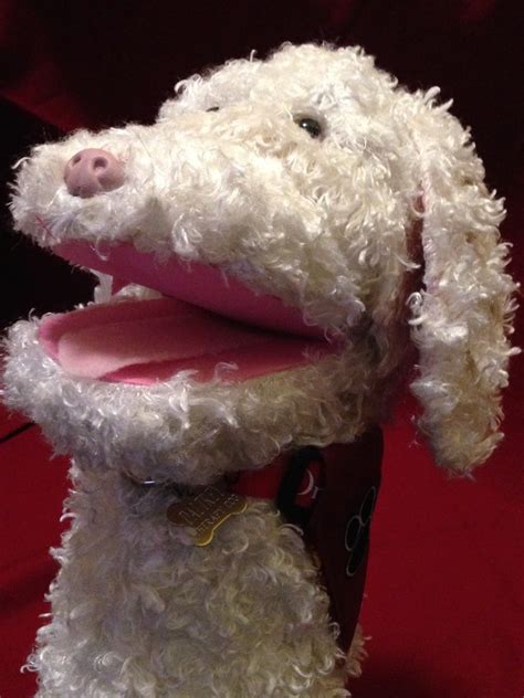 DIY Dog Puppet : 5 Steps (with Pictures) - Instructables