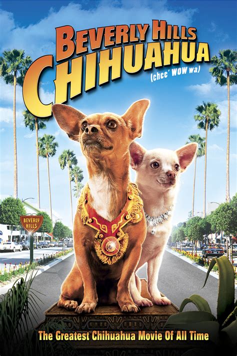 Chihuahua Beverly Hills Movie Film Cineman
