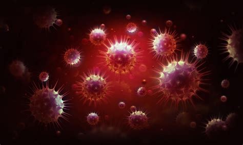 HKU5-CoV-2: Scientists Discover New Bat Coronavirus in China Similar to ...