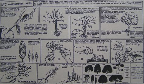 Image result for Building Model Trees