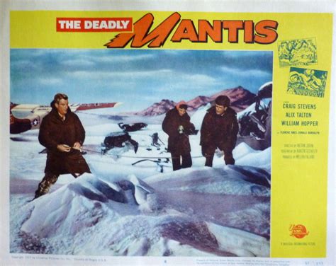 Picture of The Deadly Mantis