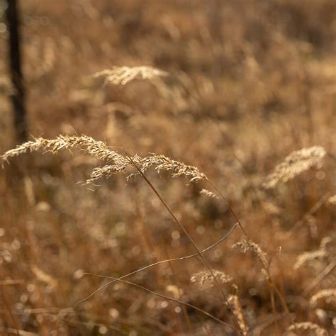 Palmisano Park | The Most Beautiful Places in Chicago with Geoffrey ...