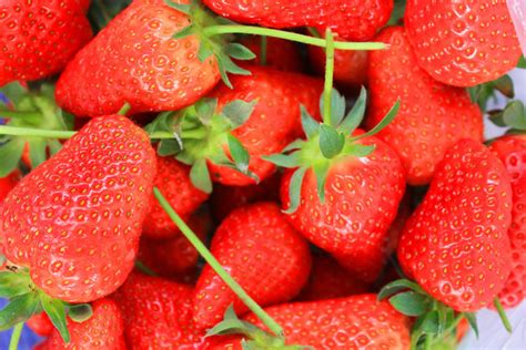 草莓1高清图片-饮用食品-素彩网