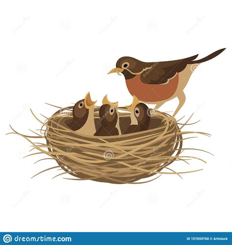 bird nest illustration