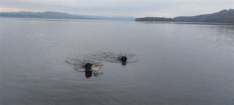 Fabulous lodges! - Review of Loch Lomond Waterfront Luxury Lodges ...