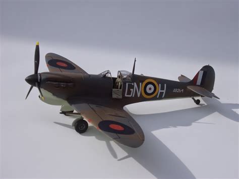 Image result for Spitfire Color Schemes