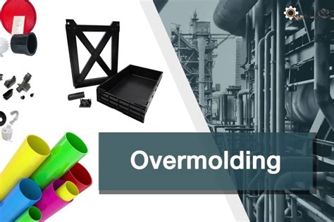 Do Fish Have Eyelid Exploring the Ocular Features of Aquatic