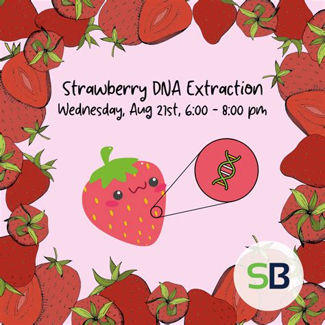 Strawberry DNA Extraction — SoundBio Lab