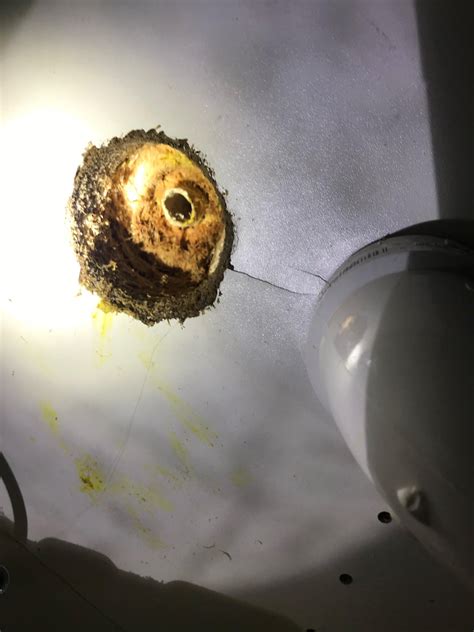 Image result for CPVC Inside Thread E Coupling