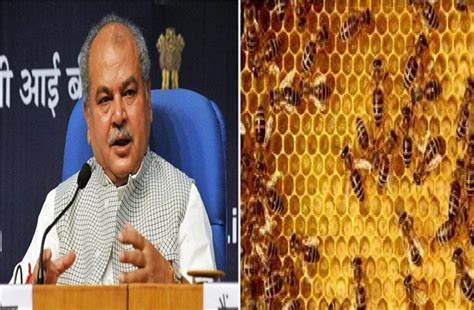 विश्व मधुमक्खी दिवसः कृषि मंत्री तोमर इन 5 राज्यों में शहद परीक्षण ...