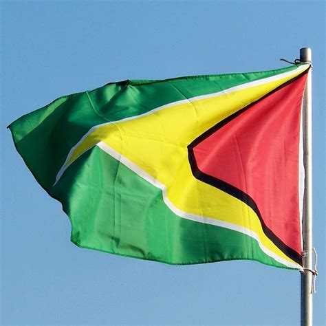 Graafix!: Flag of Guyana