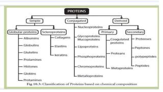 Image result for Protein Classification