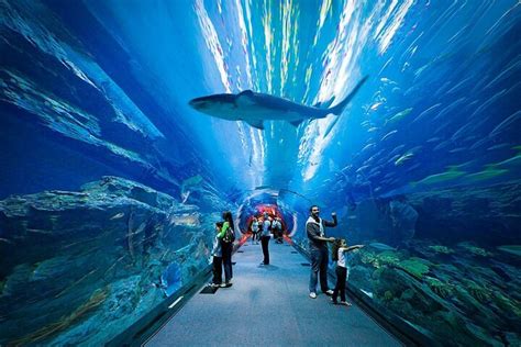 2023 Dubai Aquarium and Underwater Zoo