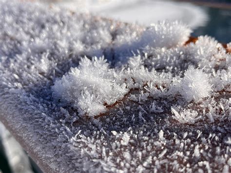 WARNER STABLES (2026) All You Need to Know BEFORE You Go (with Photos ...