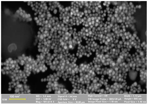 Romanian Viscum album L.—Untargeted Low-Molecular Metabolomic Approach ...