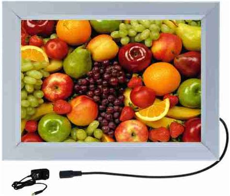 DESIGNING HUB FRUTS MODEL NO-02, 18 inch ELECTRONIC LED FRAME ...