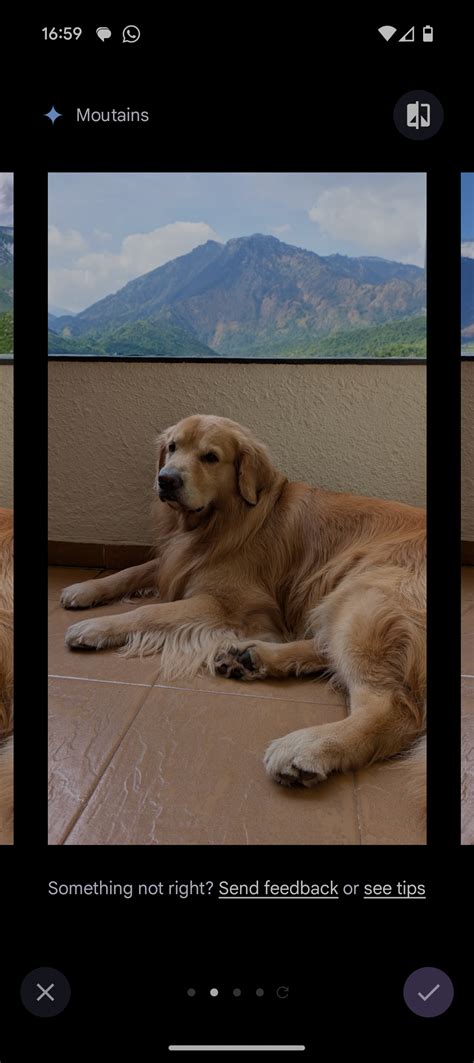 Image result for Google Phone Image Processing Software