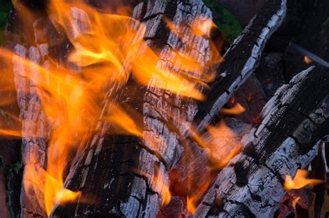 Image result for Fire Log Show