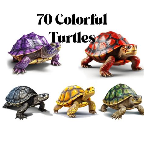70 Colorful Turtles PNG Clipart, Watercolor Turtle Clip Art, Cute ...