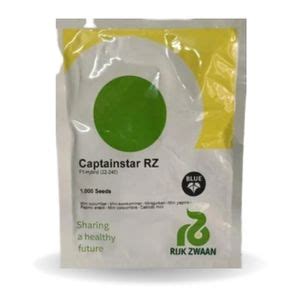 Captainstar RZ Mini Cucumber Seeds - Rijk Zwaan | F1 Hybrid | Buy Now ...