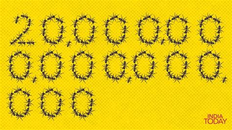 How many ants are there on Earth? Count this number if you can ...