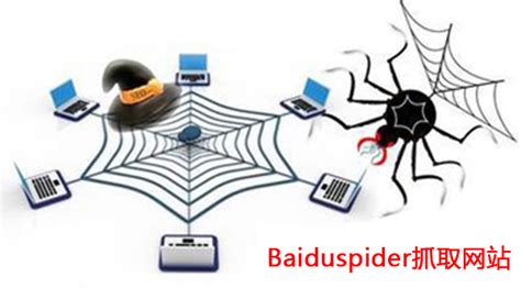有哪些因素会导致百度蜘蛛受到限制 - 泰州无忧网络服务