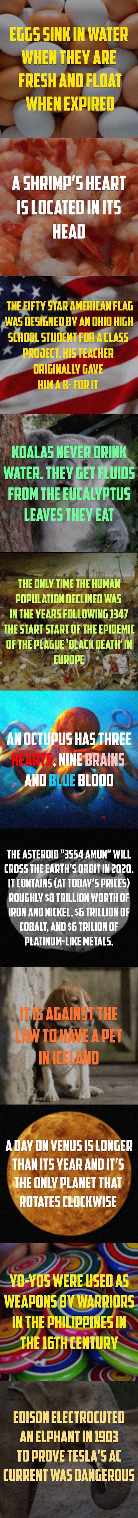 Image result for Super Random Facts