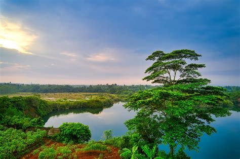 Image result for Target Field Aerial View