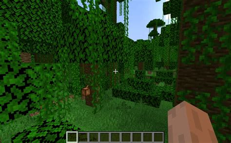 Image result for Minecraft Tutorial Jungle