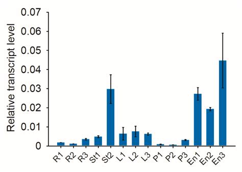 Targeted Mutagenesis of the Rice FW 2.2-Like Gene Family Using the ...